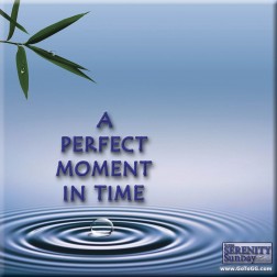 Read A Perfect Moment In Time article by Genevieve Gerard