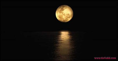 Full Golden Moon on a pitch black night reflecting on the water