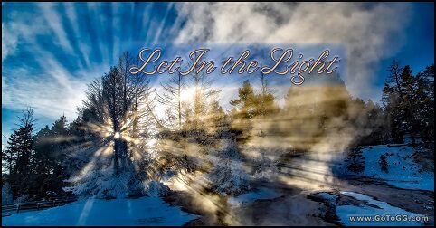 snow capped forest with the dawn of light coming through