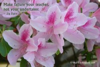 Make failure your teacher, not your undertaker - Zig Ziglar