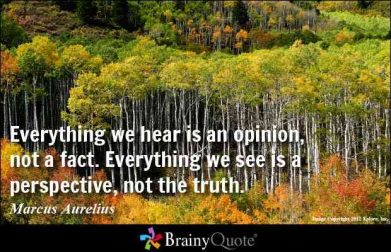 Everything we see is a perspective quote by Marcus Aurelius