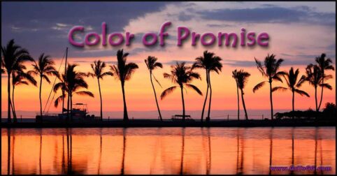 Color of Promise blog post by Genevieve Gerard