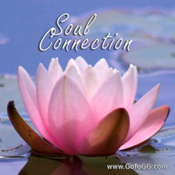 Genevieve Gerard The Soul Connection Article image