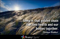 Quote about sleep by Thomas Dekker